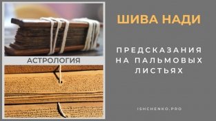 Шива Нади Консультация